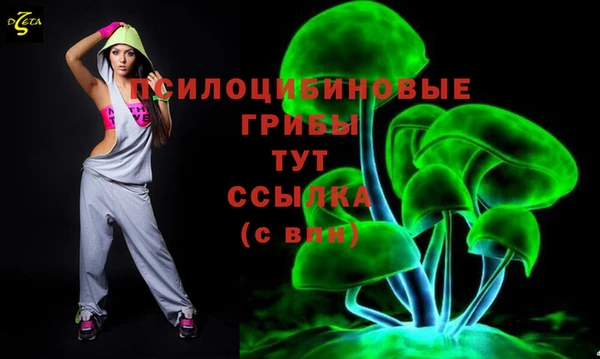 MDMA Верхний Тагил